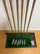 Srixon Iron Sets Z725 5.6.7.8.9.P Dg X100