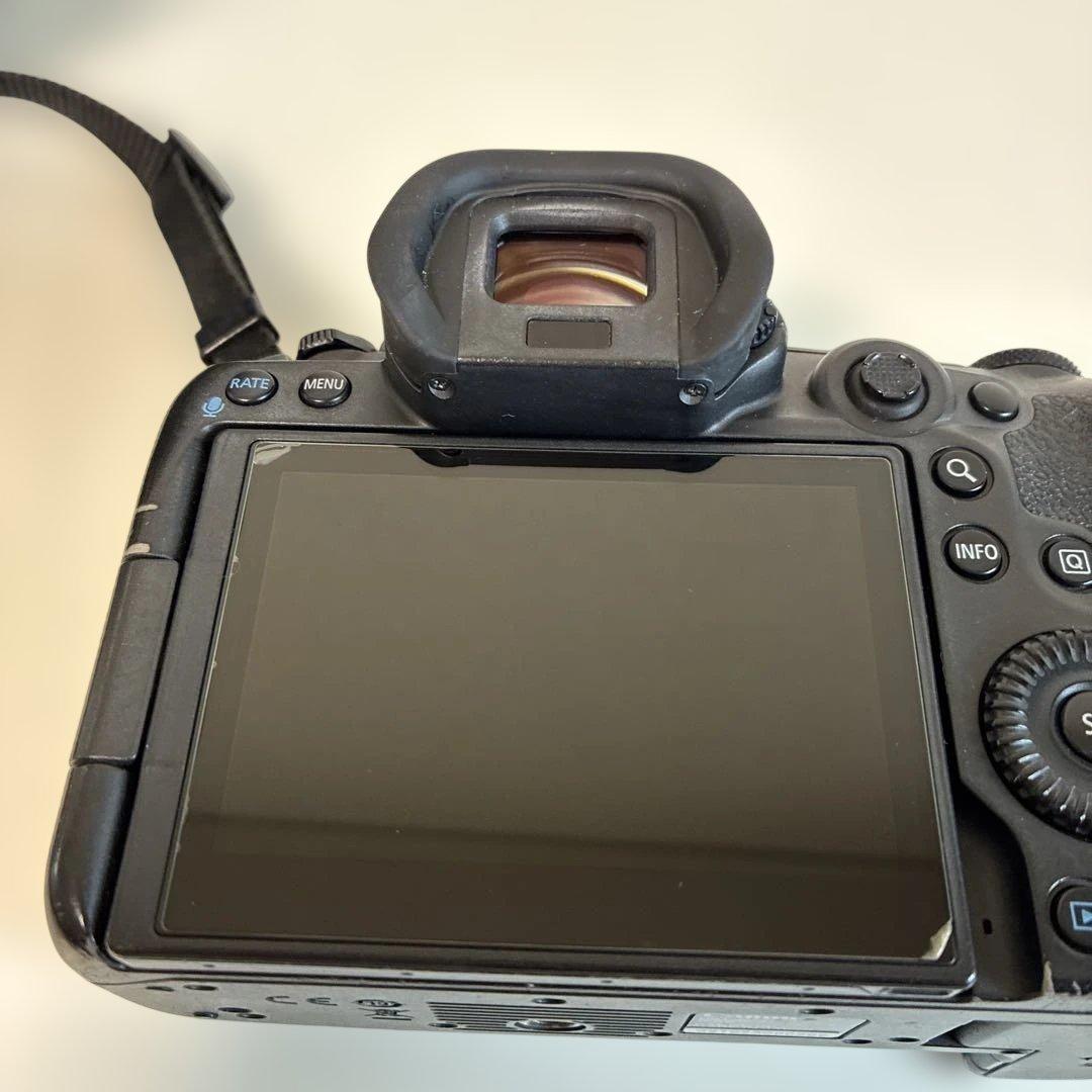 Canon Mirrorless Interchangeable Lens Cameras Eos R5