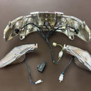 Lights Turn Signals Sg03J C Assy