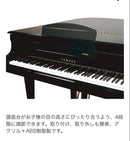 Yamaha Grand Pianos Pgf2