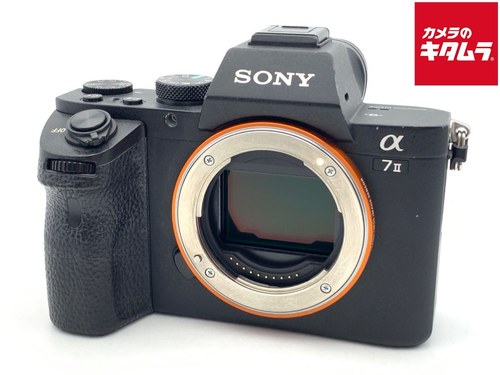 Mirrorless Interchangeable Lips 7Ii [Ilce-7M2]
