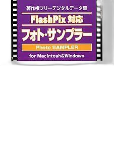 Others Flash Pix Vol.8