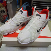 Nike Sneakers Stussy