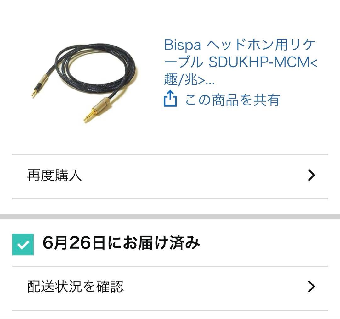 Bispa Headphone Cables 3.5 2.5