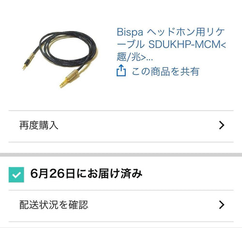 Bispa Headphone Cables 3.5 2.5