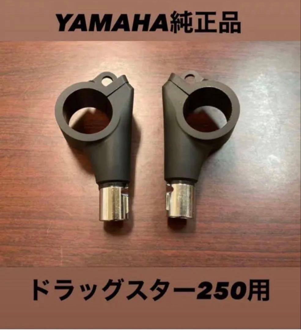 Yamaha Lights Turn Signals 250 2