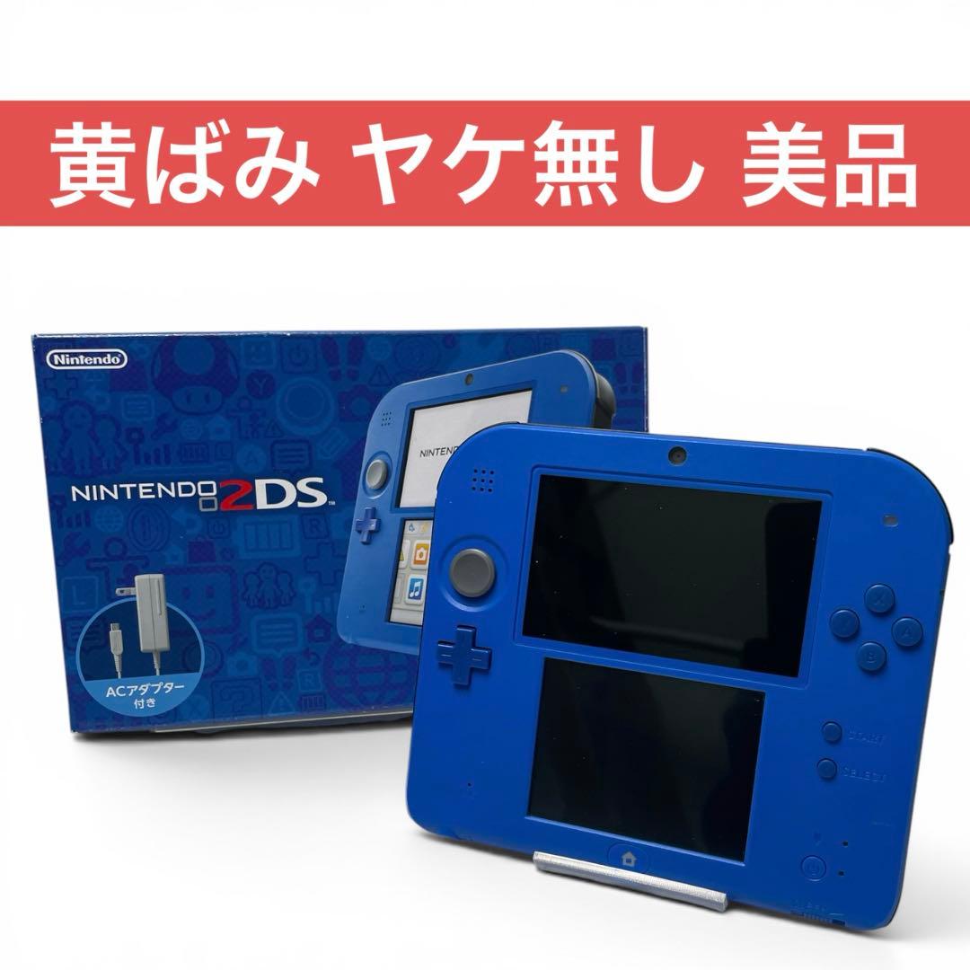 Nintendo Consoles (2Ds)