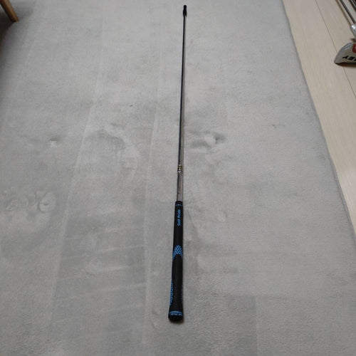 True Temper Shaft Dgx100