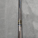 True Temper Shaft Dgx100