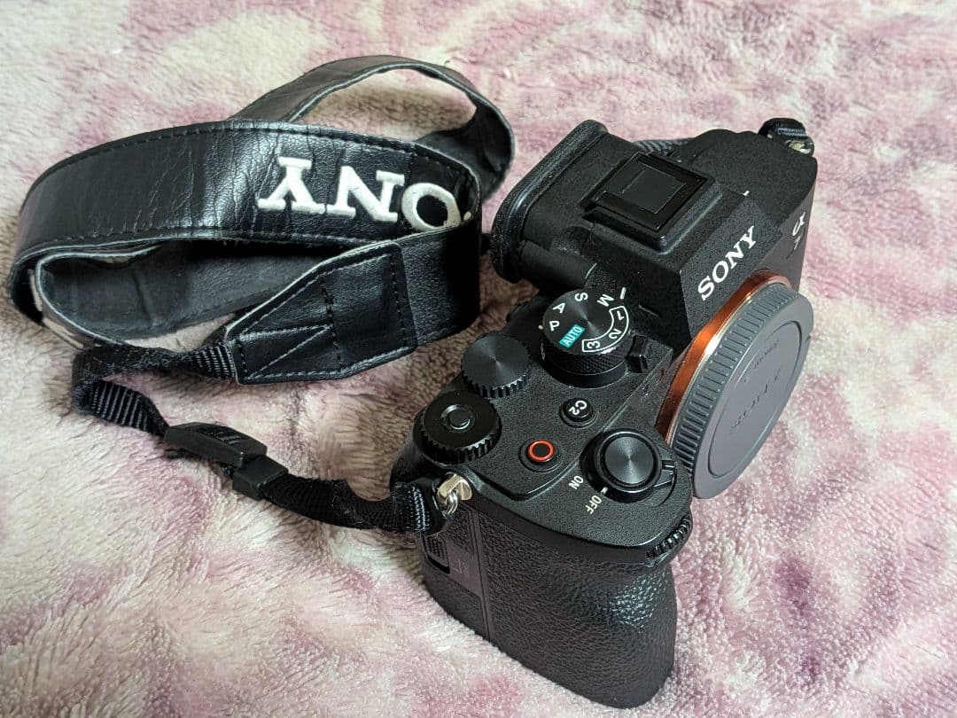 Sony Mirrorless Interchangeable Lens Cameras A7