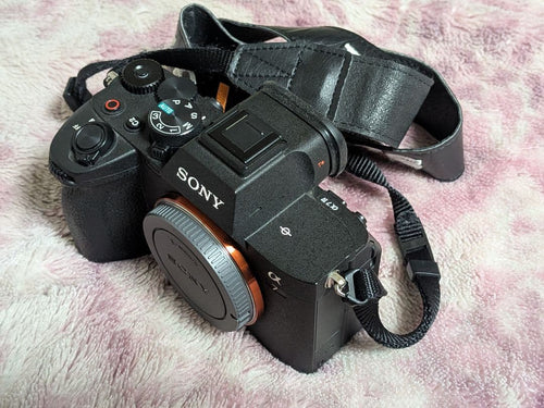 Sony Mirrorless Interchangeable Lens Cameras A7