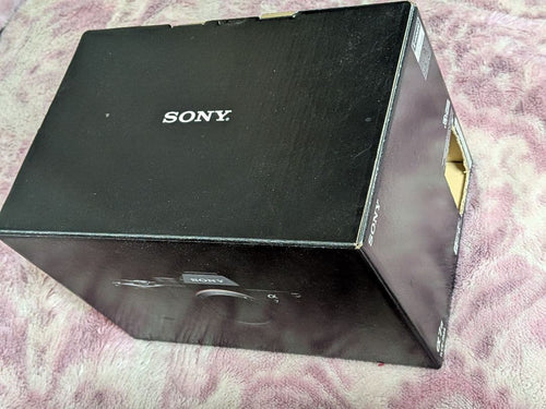 Sony Mirrorless Interchangeable Lens Cameras A7
