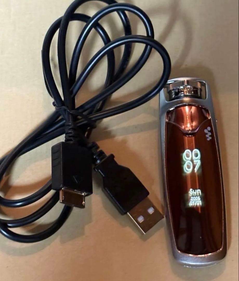 Other Sony Nw-S603