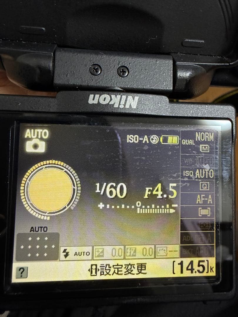 Nikon Digital Slr D5000