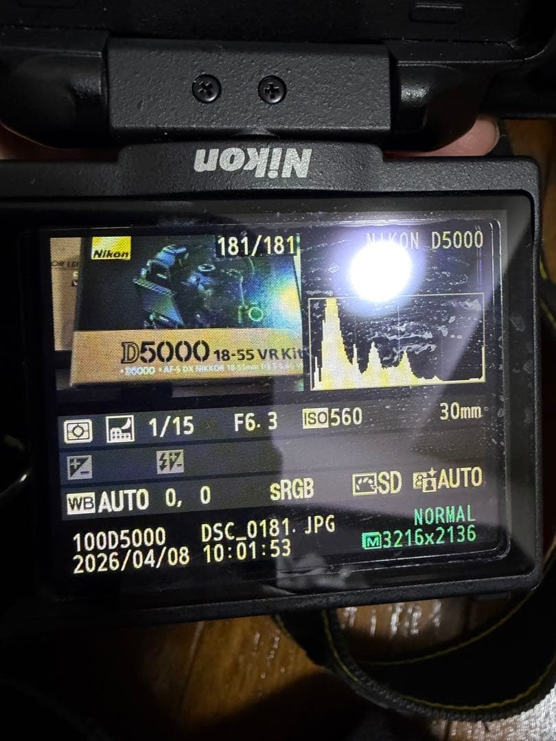 Nikon Digital Slr D5000