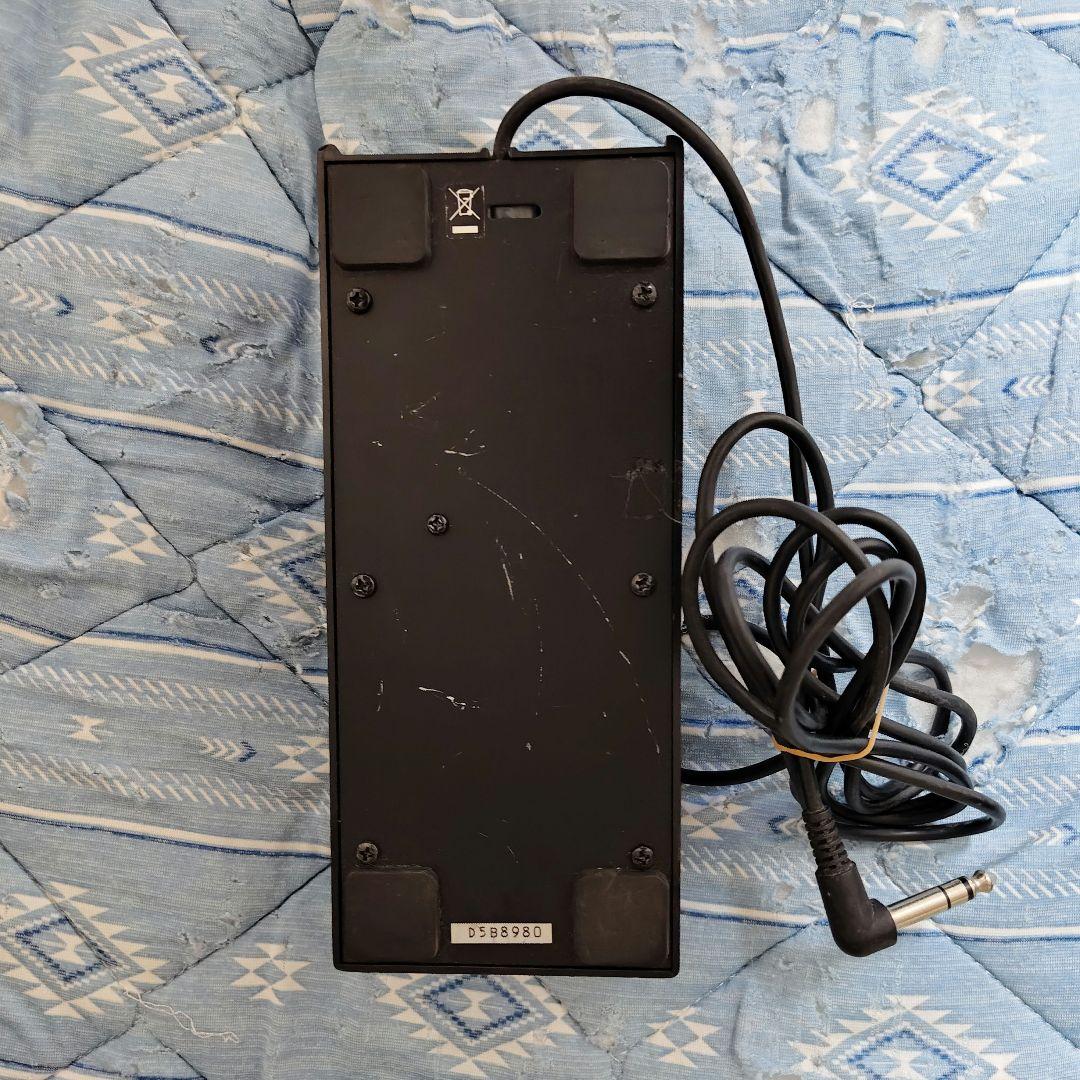 Roland Others Ev-5
