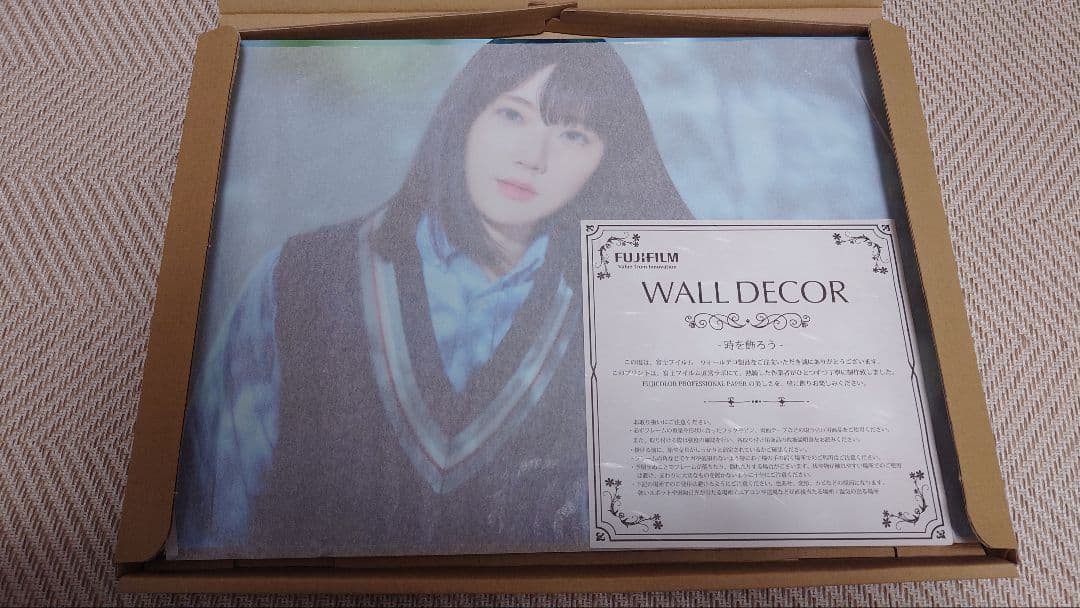 Fujifilm Others Stu48 Wall Decor