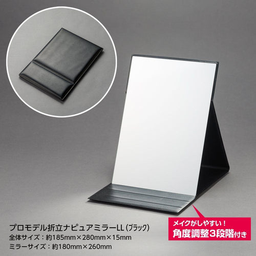 Desktop Mirror Ll 0