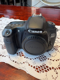 Canon Digital Slr Eos 60D