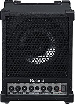 Pick Up Roland Cube Monitor 30W Cm-30