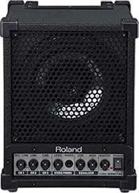 Pick Up Roland Cube Monitor 30W Cm-30