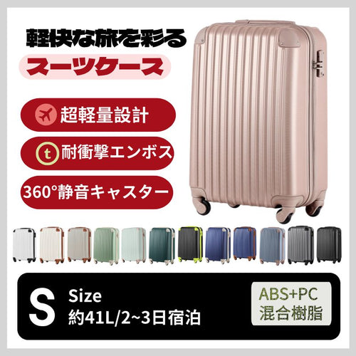 Carry Case S 2 3 Tsa 1