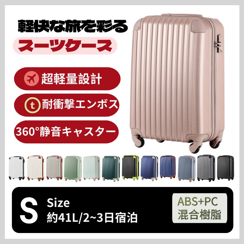 Carry Case S 2 3 Tsa 1