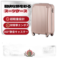 Carry Case S 2 3 Tsa 1