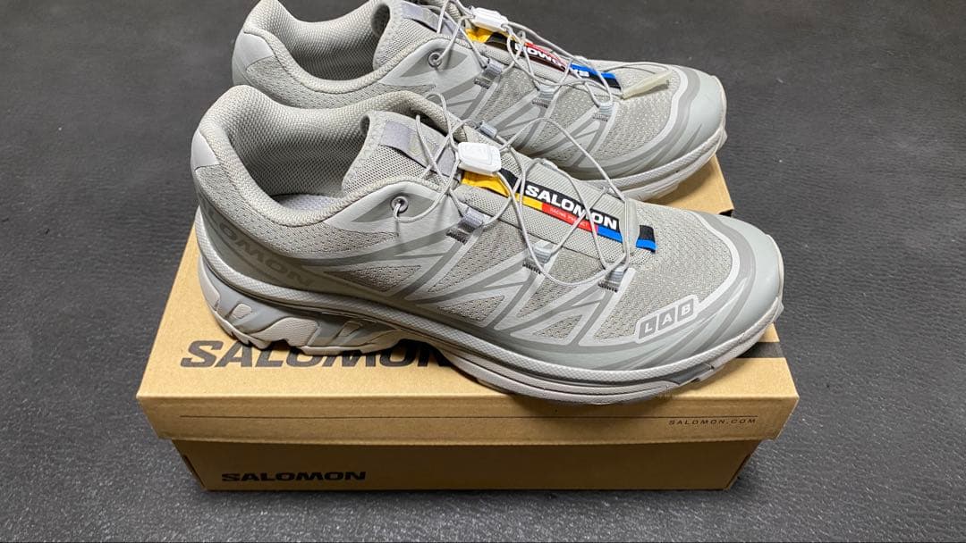 Salomon Sneakers S/Lab Xt-6 Grey
