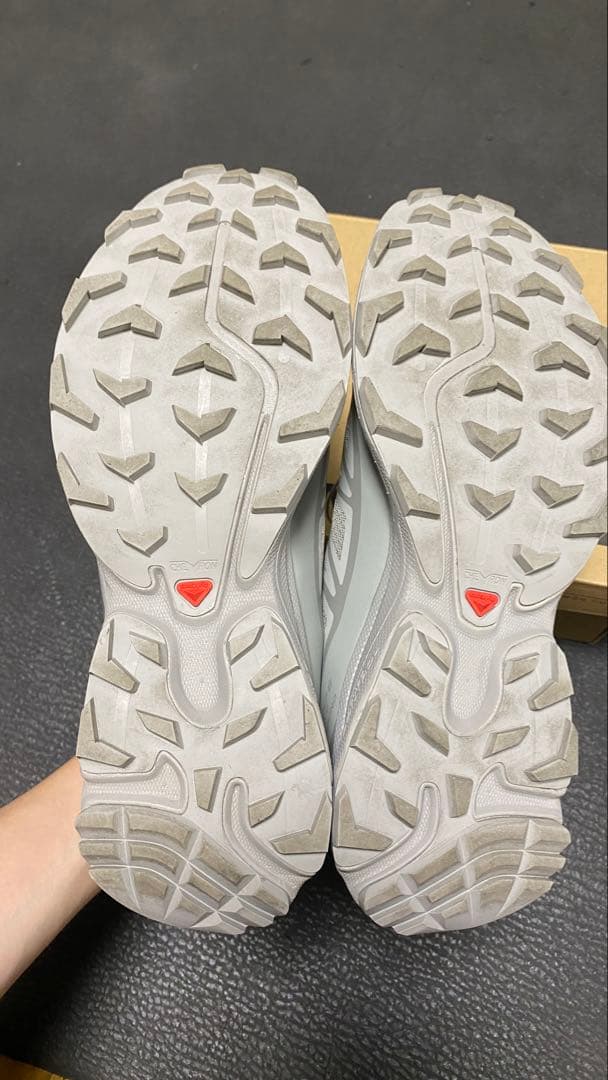 Salomon Sneakers S/Lab Xt-6 Grey