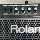 Others Roland Pm-10 K11400183