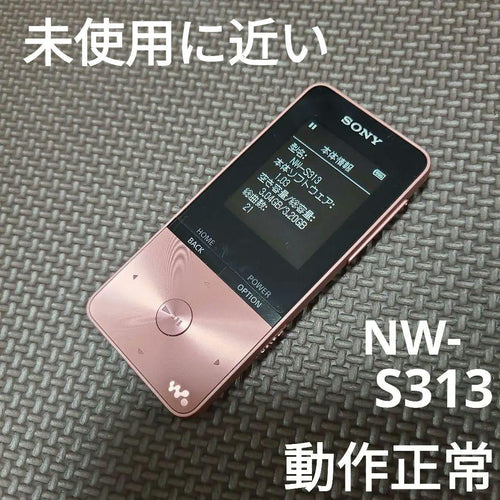 Sony Digital Audio Players Walkman Nw-S313 4Gb