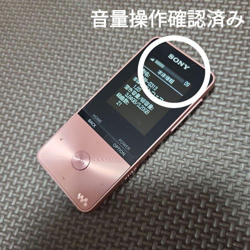 Sony Digital Audio Players Walkman Nw-S313 4Gb