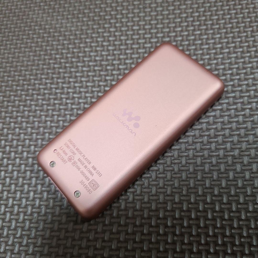 Sony Digital Audio Players Walkman Nw-S313 4Gb