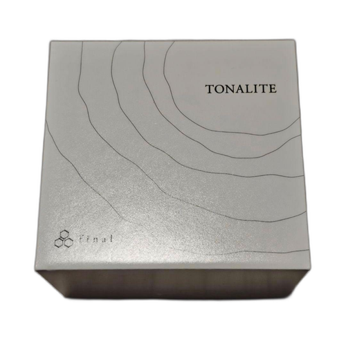 Wireless Earphone Final Tonalite