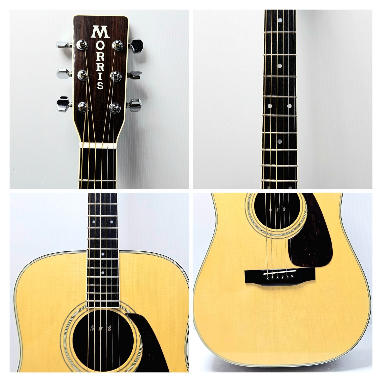 Acoustic Guitar Morris Md-516 Korg