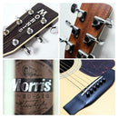 Acoustic Guitar Morris Md-516 Korg