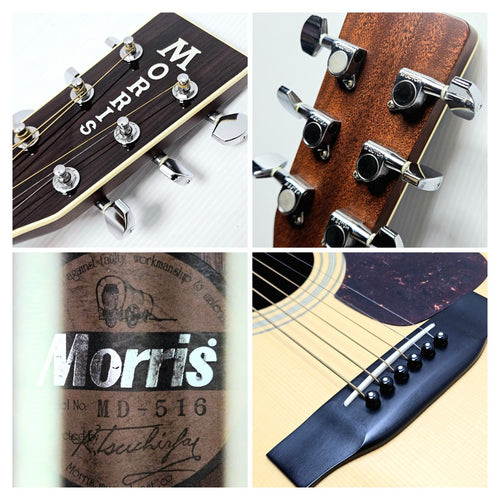 Acoustic Guitar Morris Md-516 Korg