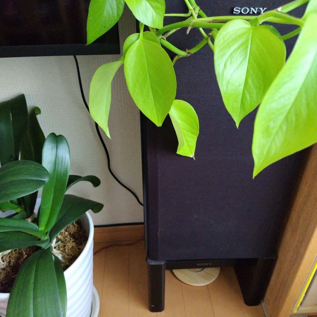 Sony Cd, Md Cassette Decks
