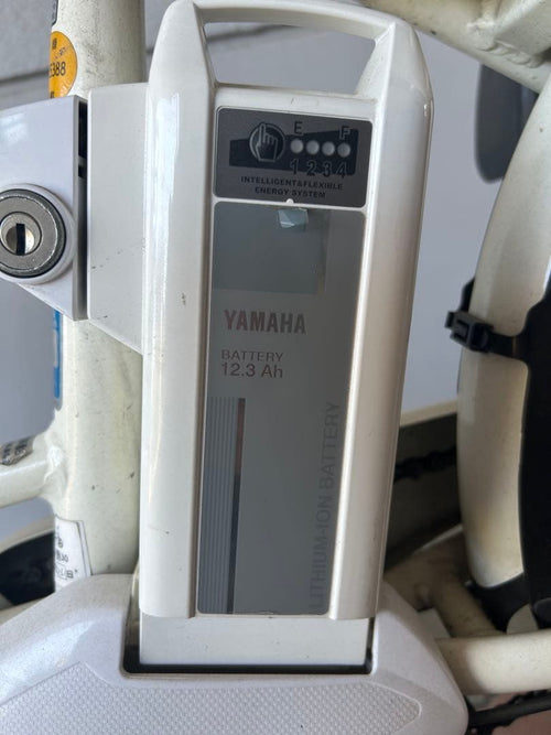 Yamaha With Child Seat Pass Crew 12.3Ah
