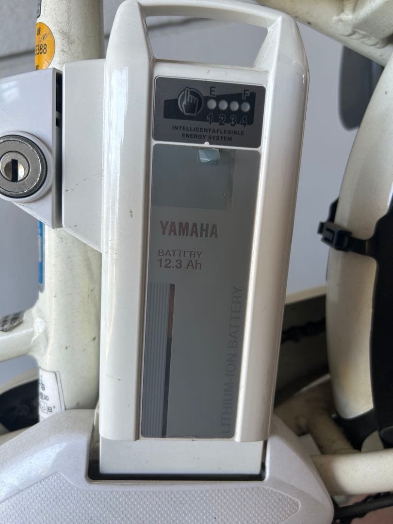 Yamaha With Child Seat Pass Crew 12.3Ah