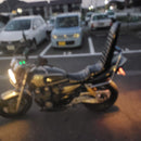 Yamaha Motorcycle Body Xjr400 4Hm