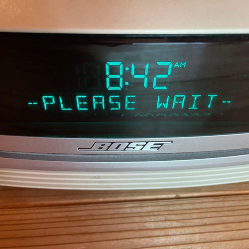 Bose Other Wave Music System