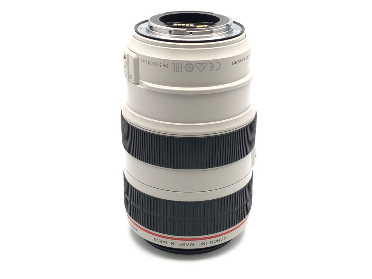 Lens (Zoom) Ef70-300Mm F4-5.6L Is Usm