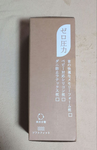 Pillow Pro 42X63Cm