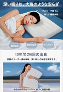 Pillow Pro 42X63Cm