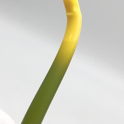 Bandai Spirits Others [17]
