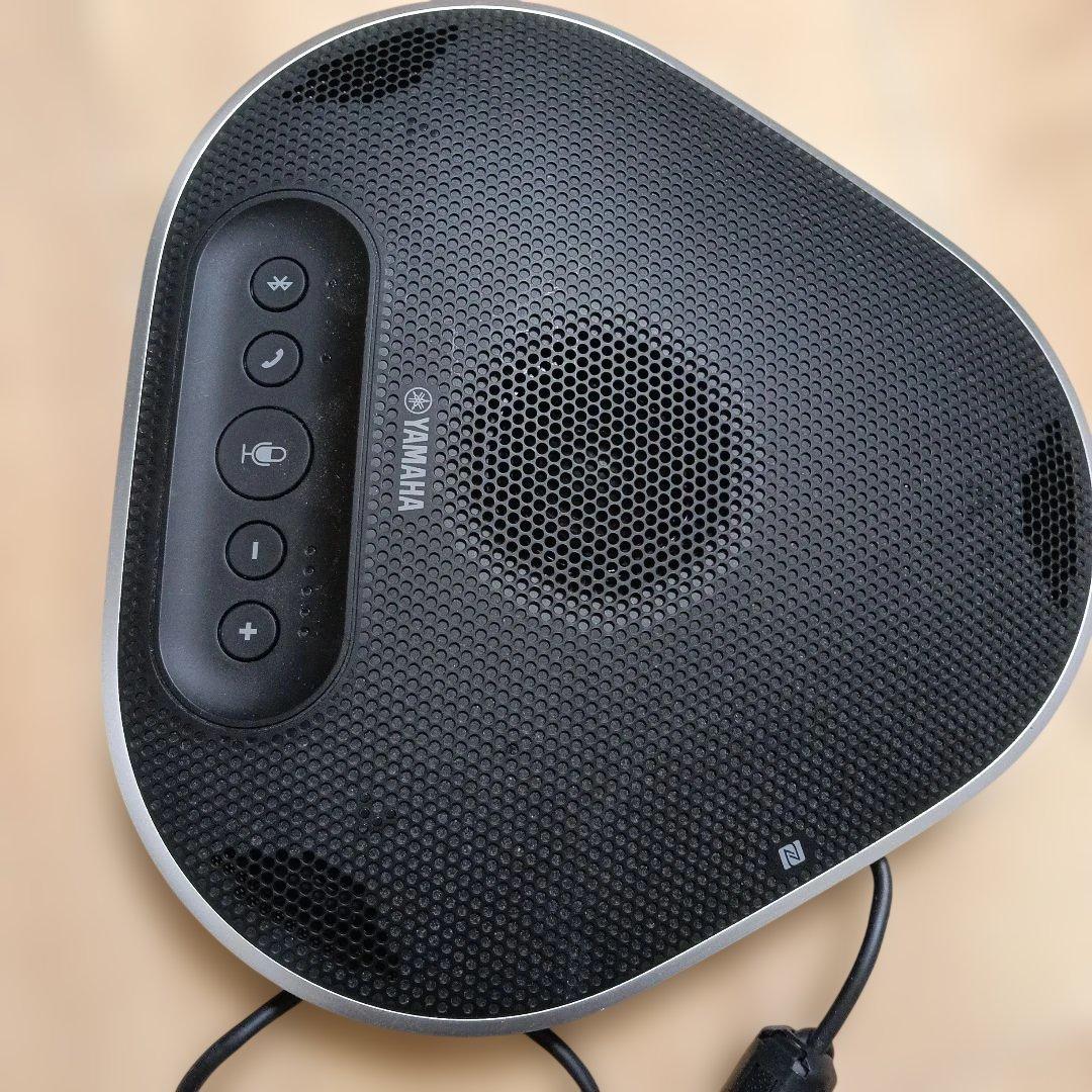 Yamaha Wireless Speakers Yvc-300