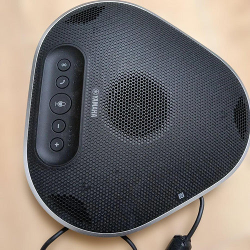 Yamaha Wireless Speakers Yvc-300