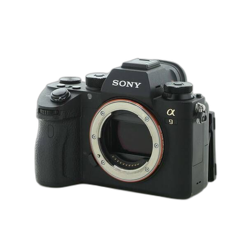 Sony Mirrorless Interchangeable Lips 9 Ilce-9 262
